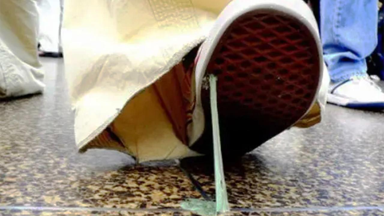 Hollanda, Plastik İçeren Sakızların Yasaklanmasını İstiyor: Çevre Kirliliği Tartışması Büyüyor