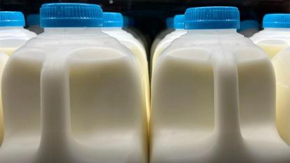 Hollanda'da Depozito Sistemi Genişliyor: Plastik Süt ve Protein İçeceği Şişeleri de Kapsama Alınabilir