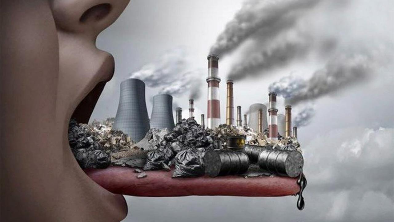 Hollandalıların Yaşam Süresi 2030 Yılına Kadar 4 Ay Daha Uzayacak