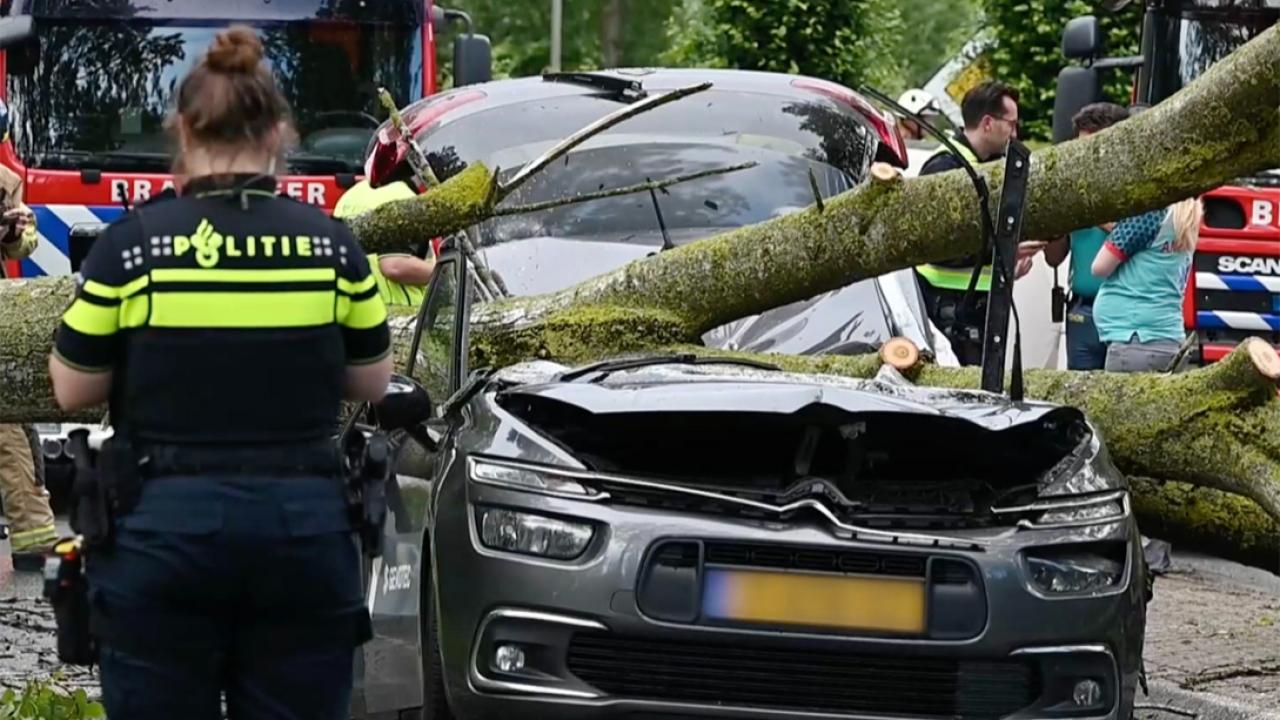 Boxtel’de Ağacın Minibüsün Üzerine Devrilmesi Sonucu Sürücü Hayatını Kaybetti